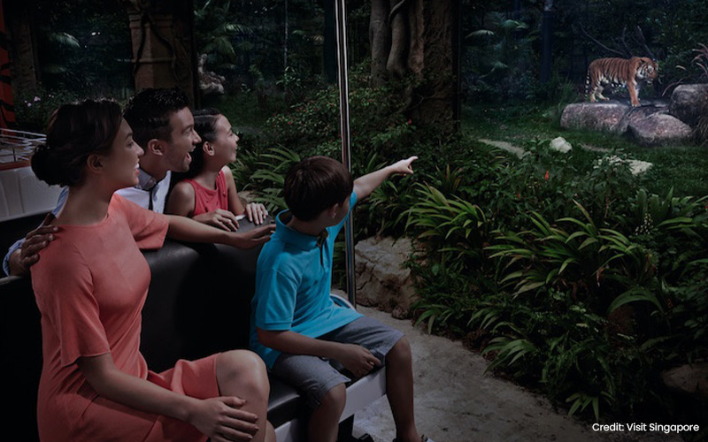 Family on a Singapore Night Safari, seeing a tiger.